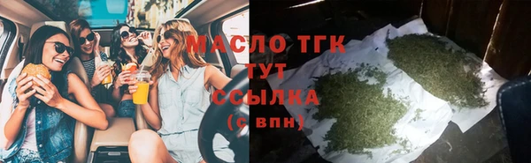 тгк Медногорск