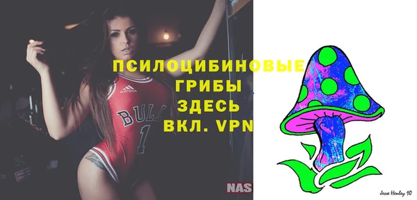 тгк Медногорск