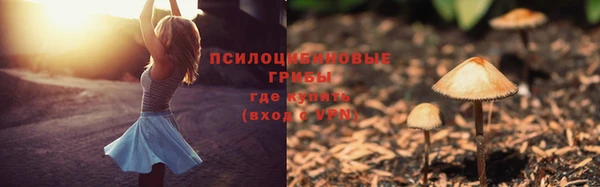 тгк Медногорск