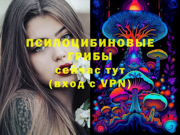ALPHA-PVP Мегион