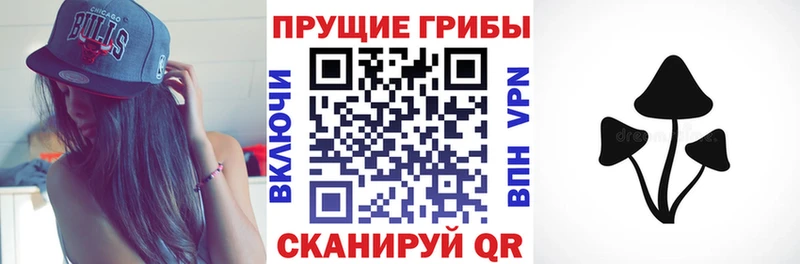 Псилоцибиновые грибы Psilocybe  Цимлянск 